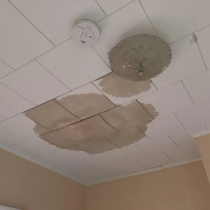 Ceiling Water Damage Repair in Fort Branch, IN