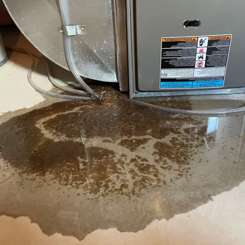 Pipe Burst and Leak Restoration in Fort Branch, IN