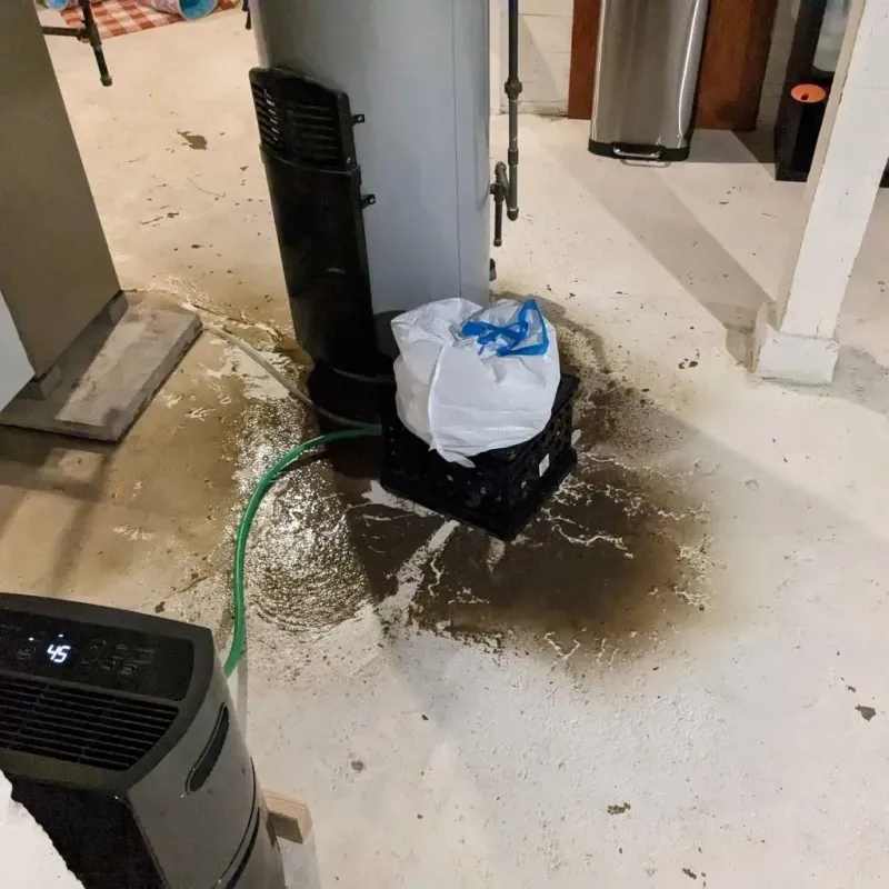 Sewage Backup Cleanup Service in Fort Branch, IN